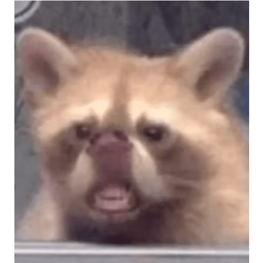 Jijijija 6