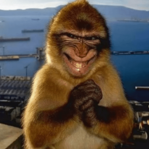 Macacos 🐵ᩧ 10