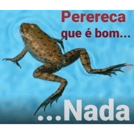 Zueira 11