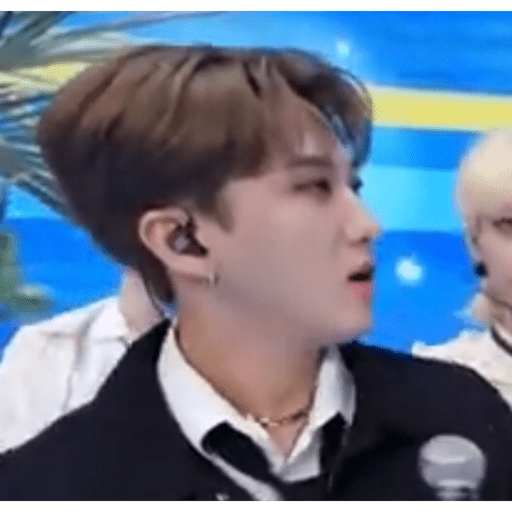 Stray kids.29 23