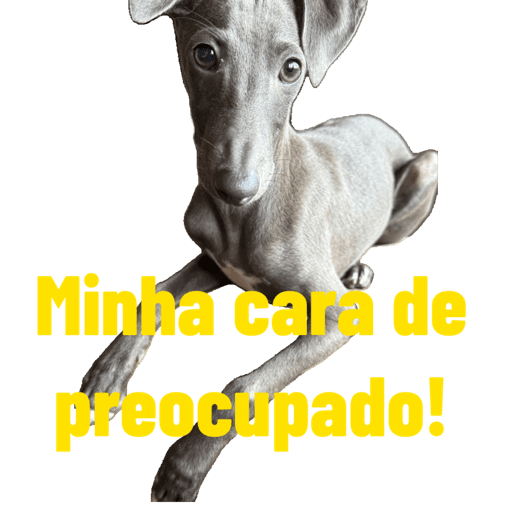 Joao 7