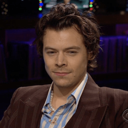 Harry style 24