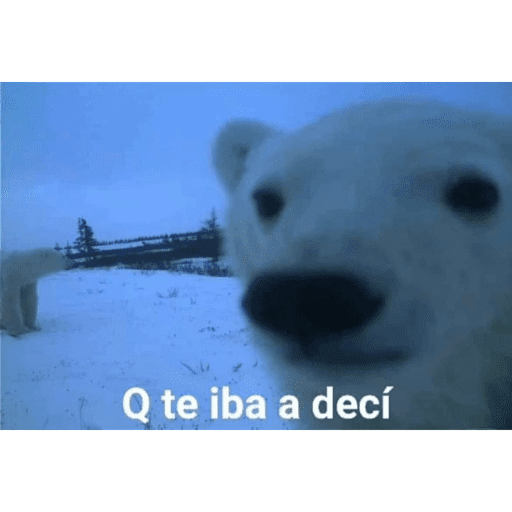 Jsjsjsjs xd 10