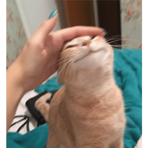 ¥~¥ 2