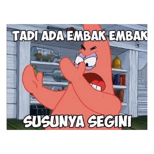 Petrik 29
