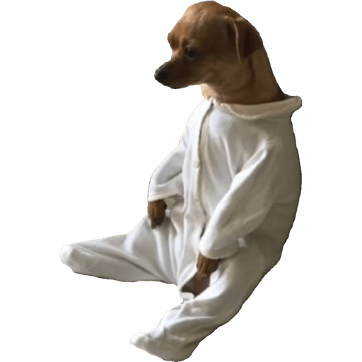 Perritos 4 6