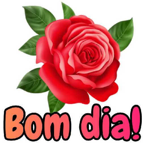 Flores e jardim 12