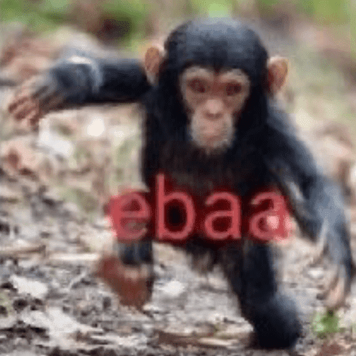 Sei não 4