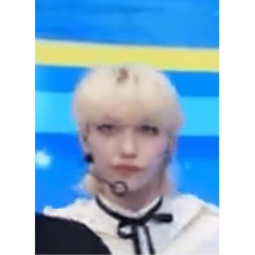Stray kids.29 24