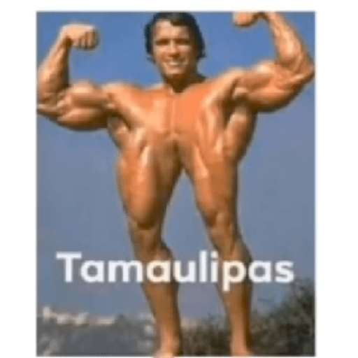 No se que poner 3