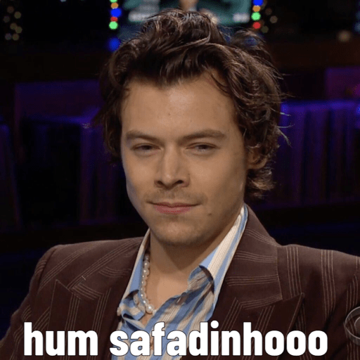 Harry style 23
