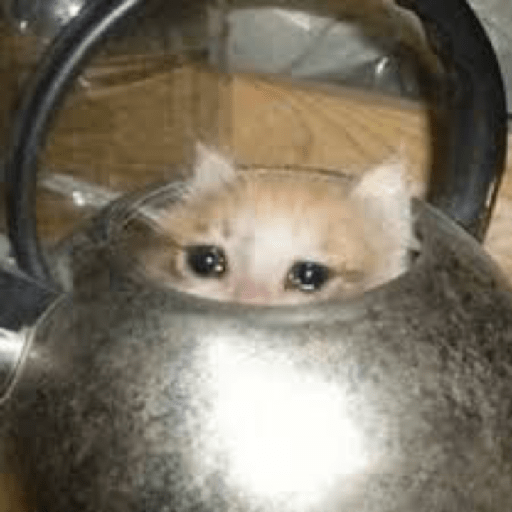 Kucing sad 2
