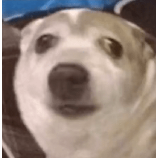 Jijijija 4