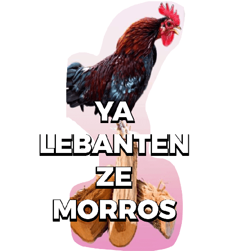 No se que poner 7