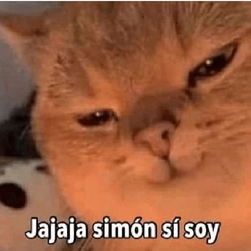 Raros 15