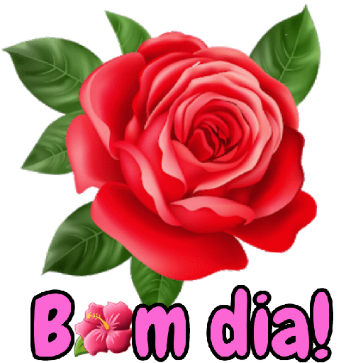 Flores e jardim 17