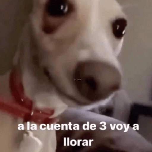 Raros 14