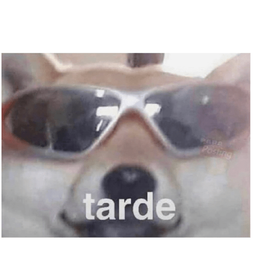 Perritos 4 2