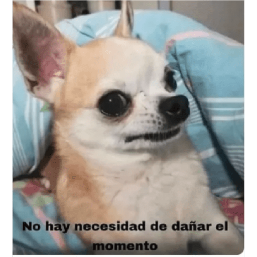 ??? 17