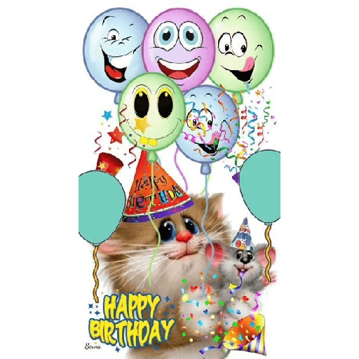 Feliz aniversário🎂 2