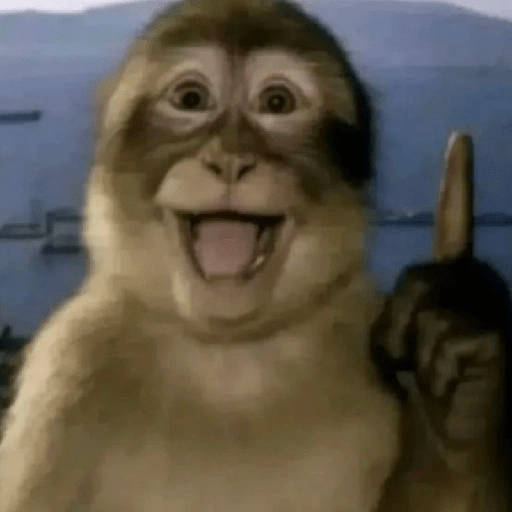 Macacos 🐵ᩧ 4
