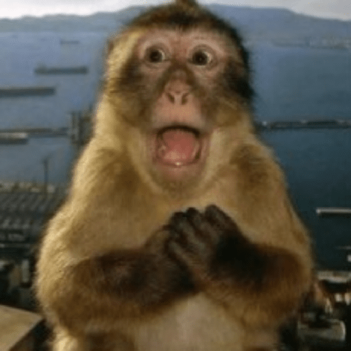 Macacos 🐵ᩧ 9