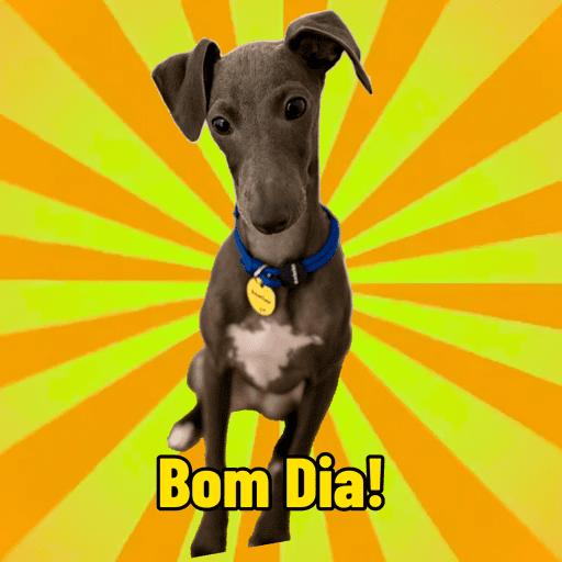 Joao 6