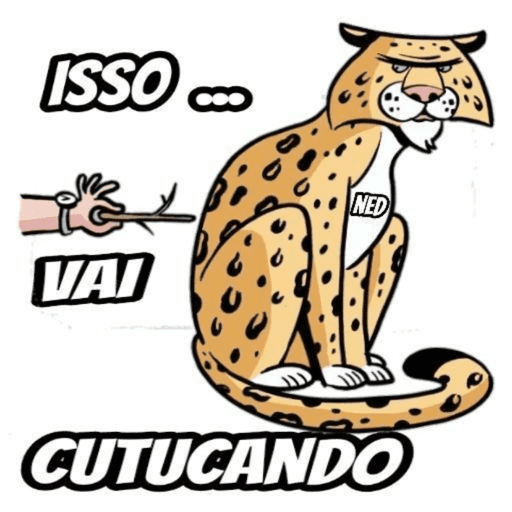 Zueira 10