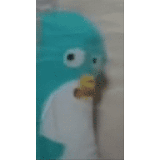 Memes de todo 8