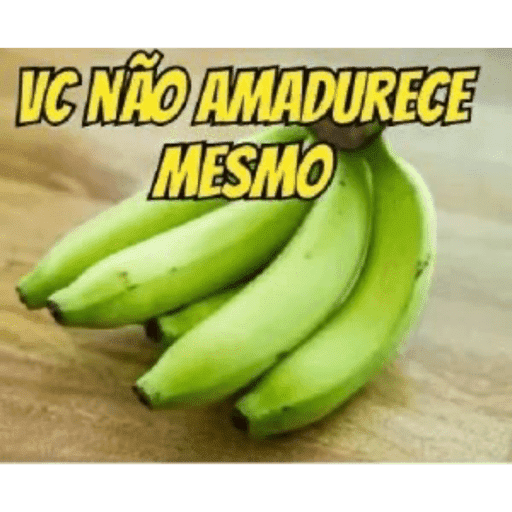 Zueira 23