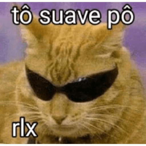 Debochado sempre 13