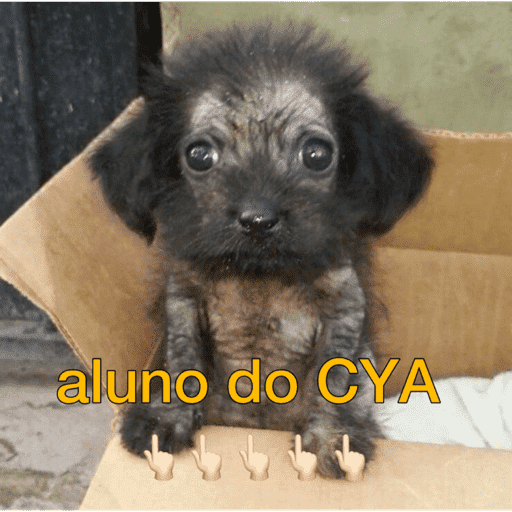 Sei não 11