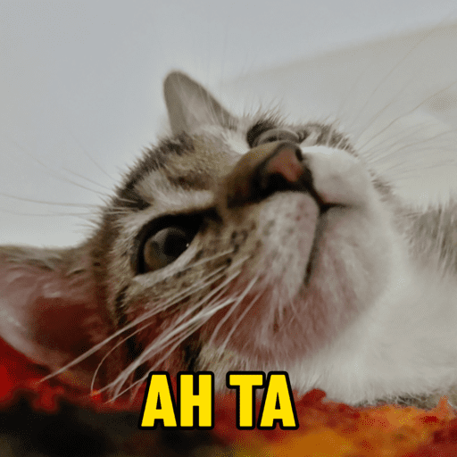 Aleatorio 3