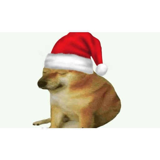 Jijijija 11