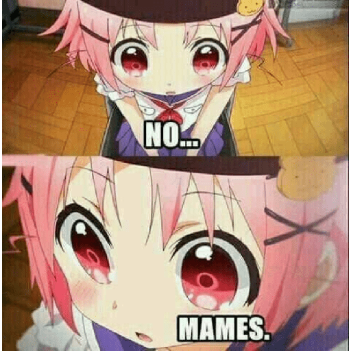 Memes 6