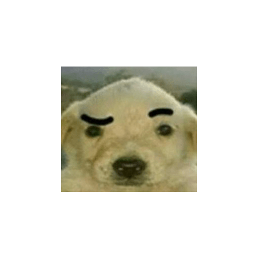 Jijijija 10