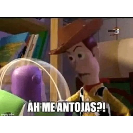 Memes 13