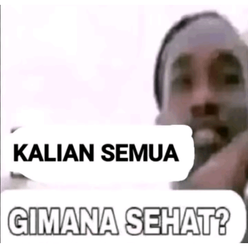 Fesnuk 18 19