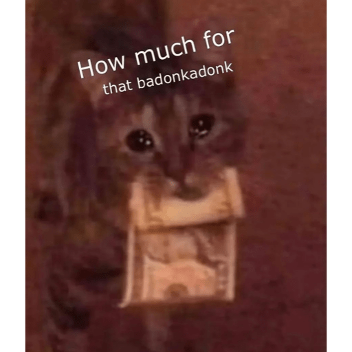 Cats 21