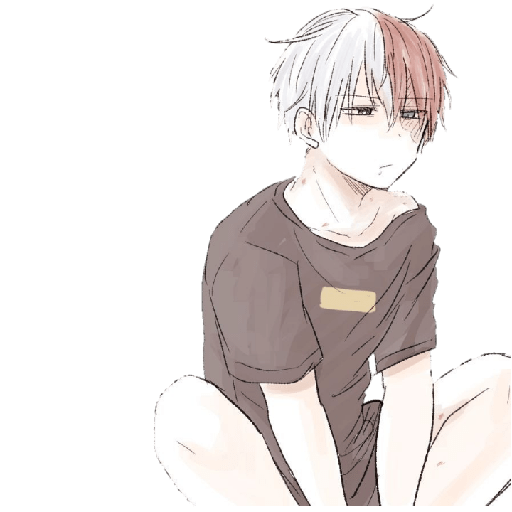 Todoroki chiquito 13