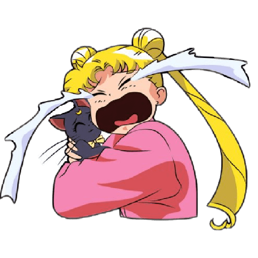 Sailor moon✨🩷 1