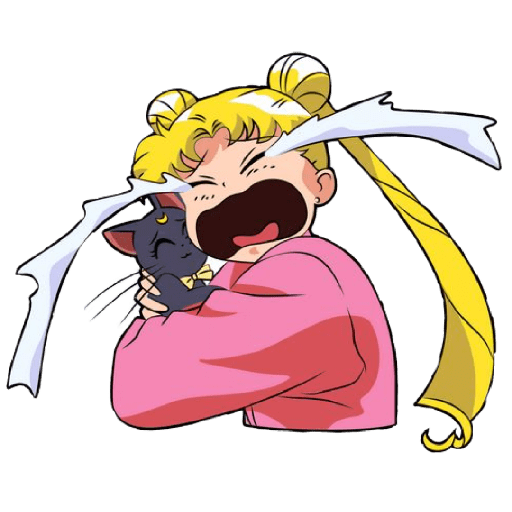 Sailor moon✨🩷 7
