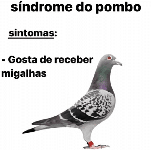 Memes e reações 4 4