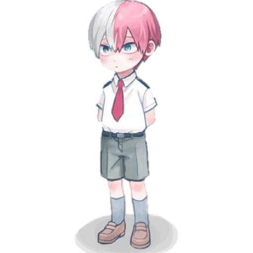 Todoroki chiquito 11
