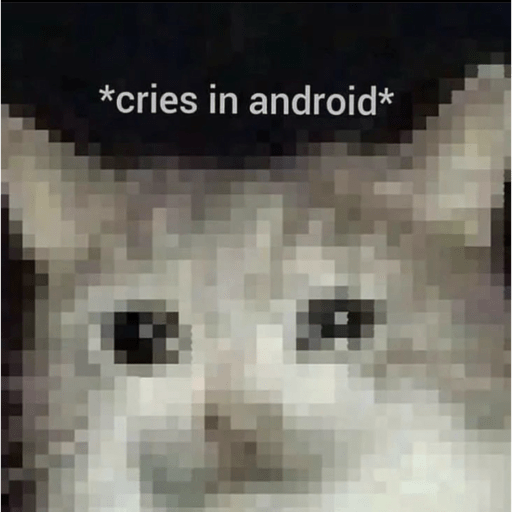 Cats 25