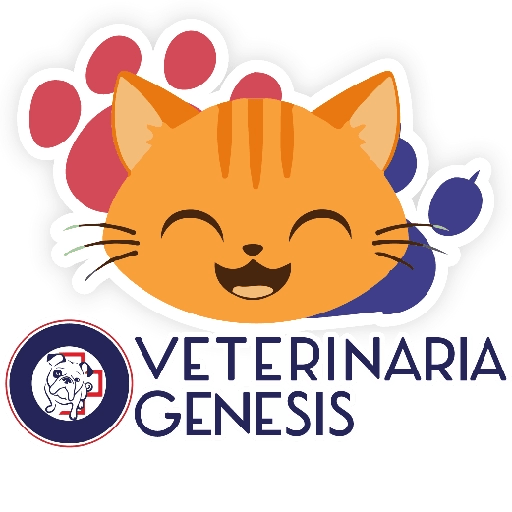 Vet Génesis emojis  23