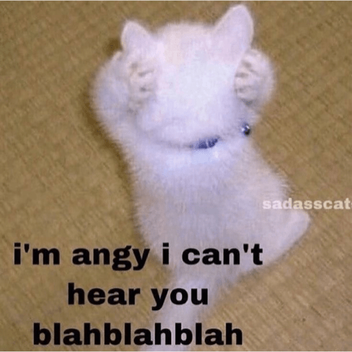 Cats 28