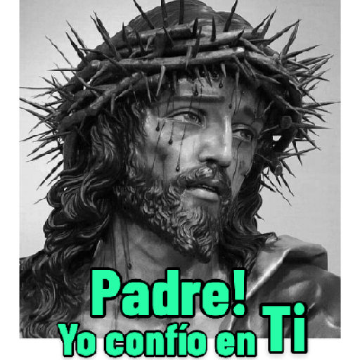 CONFIANZA 🙏 29