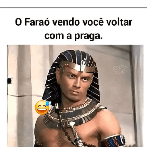 Memes e frases 27