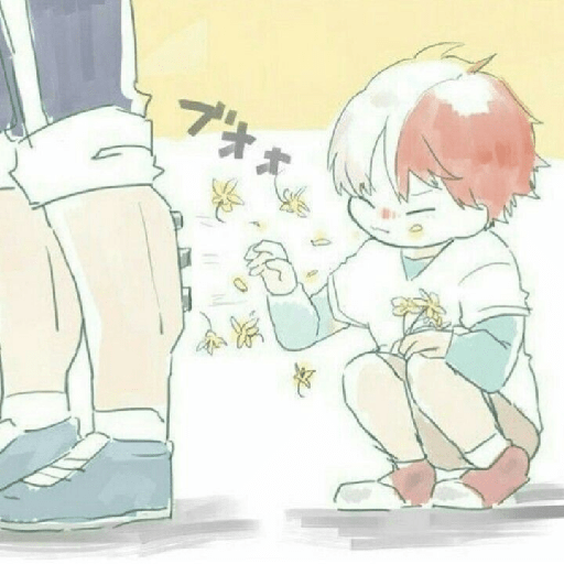 Todoroki chiquito 14